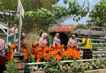 KB Al Irsyad Madiun Belajar Berkebun di KP2L Pari Mandiri