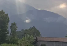 Kebakaran Lereng Lawu di Magetan Padam, Kini Api Merembet ke Ngawi