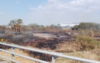 Kebakaran Lahan Tol Sutami Makassar Berhasil Dipadamkan Damkar
