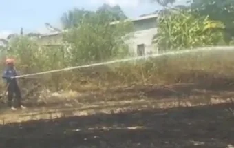 Lahan Mengering, Kebakaran di Maros Meningkat Tajam