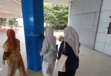 PPPK Paruh Waktu di Maros Masih Aman, Kebijakan Tunggu Pusat