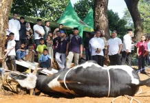 Ribuan Warga Mendapat Daging Kurban Kodam XIV/Hasanuddin