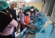 Dari Tambak ke Meja Makan, Kemenko Pangan Pastikan Pasokan Ikan untuk MBG