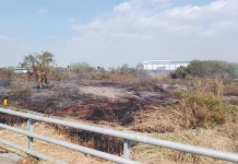 Kebakaran Lahan Tol Sutami Makassar Berhasil Dipadamkan Damkar