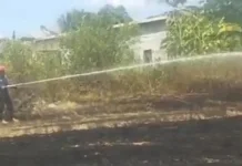 Lahan Mengering, Kebakaran di Maros Meningkat Tajam