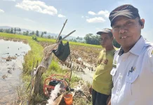 Kemarau dan El Nino Tekan Pertanian Maros, Pemerintah Bergerak Selamatkan Tanaman