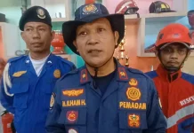 Maros Dilanda 168 Kebakaran, Agustus Jadi Bulan Paling Rawan dengan 104 Kasus Lahan