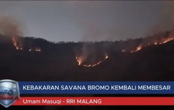 Kebakaran Savana Bromo Kembali Membesar, Jalur Wisata Malang dan Lumajang Ditutup