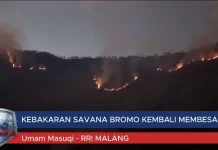 Kebakaran Savana Bromo Kembali Membesar, Jalur Wisata Malang dan Lumajang Ditutup