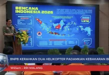 BNPB Kerahkan Dua Helikopter Water Bombing untuk Padamkan Kebakaran Bromo