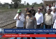 Polda Jatim bersama Gapoktan tanam 1,2 Ton Bawang Putih Lumbu Hijau di Wagir