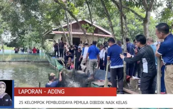 Malinau Perkuat Pembinaan Berjenjang Kelompok Pembudidaya Ikan