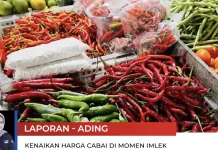 Harga Cabai Rawit Malinau Naik jelang Imlek 2026