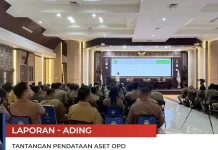 Pengelolaan Aset OPD Disorot, BPK Beri Pendampingan Teknis