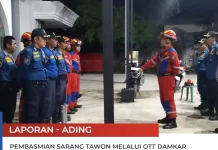 OTT Damkar, Belasan Sarang Tawon di Stadion Malinau Dimusnahkan