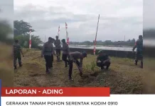Kodim Malinau Gelar Penanaman Pohon dan Tebar Benih Ikan