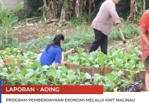 Distapang Malinau Perkuat Peran KWT Tingkatkan Kesejahteraan Keluarga