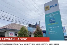 PLN Pastikan Tak Ada Defisit Daya, Pemadaman Dipicu Gangguan Insidental