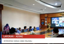 Cabai Picu Inflasi, Pemkab Dorong Peningkatan Produksi