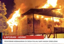 Penyebab Kebakaran di Pulau Sapi Masih Didalami