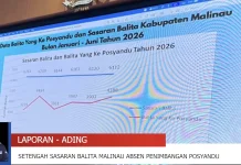 Cakupan Penimbangan Balita Posyandu Malinau Masih Rendah