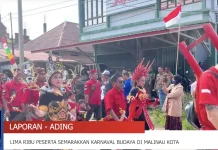 Lima Tahun Digelar, Karnaval Budaya Malinau Kota Kembali Semarak