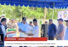 Dinas Perikanan Malinau Gelontorkan Bantuan Stimulan Budidaya Perikanan