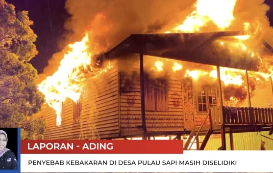Berita Video - Penyebab Kebakaran di Pulau Sapi Masih Didalami - RRI.co.id
