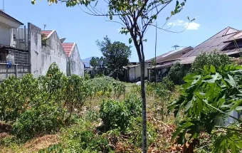 BMKG: Puncak Kemarau 2026 Terjadi Agustus hingga September