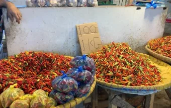 Harga Cabai Rawit di Pasar Bersehati Manado Mulai Turun
