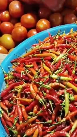 Harga Cabai Rawit Merah di Pasar Melonguane Naik Jelang Paskah, Tembus Rp95 Ribu