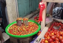 Cabai Rawit Naik Pasca Imlek di Melonguane