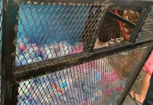 HIKMAH BI, Tukar Sampah Botol Plastik Jadi Voucher Takjil