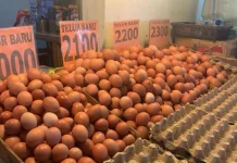 Harga Bahan Pokok di Pasar Bersehati Manado Bergerak Fluktuatif jelang Idul Adha