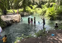 Destinasi Wisata Kali di tengah Kebun Sawit Manokwari