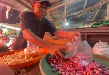 Harga Bahan Pokok di Teluk Bintuni Mulai Naik