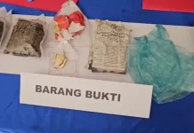 Sat Narkoba Polres Merauke Berhasil Mengamankan Ganja Seberat 84,87 Gram