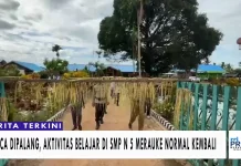 Pasca Dipalang, Aktivitas Belajar di SMPN 5 Merauke Normal Kembali