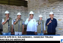 Anggota DPR RI H. Sulaeman L. Hamzah Tinjau Gudang BULOG Merauke