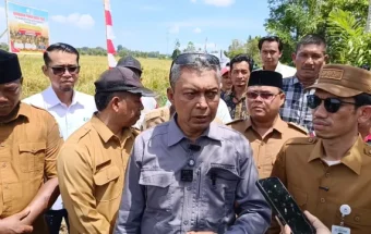 Aceh Masih Mempertahankan Surplus Beras meski Produksi Padi pada 2026 Menurun
