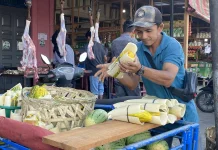 Pedagang Timun Suri Marak jelang Ramadan