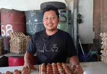 Harga Telur Ayam Ras di Meulaboh Turun Rp7 Ribu Per Papan