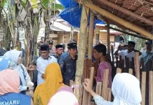 AB Dibebaskan dari Kurungan, Pemkab Aceh Barat Siapkan Pengobatan