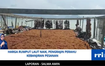 Harga Rumput Laut Naik, Pengrajin Perahu Kebanjiran Pesanan