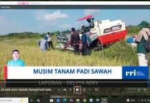 Brigade Pangan Nunukan Memasuki Musim Tanam dua setelah Berhasil di Musim Pertama