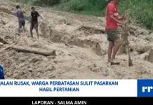 Jalan Rusak, Warga Perbatasan Sulit Pasarkan Hasil Pertanian