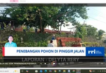 Satpol PP Nunukan, Instansi Terkait Melakukan Pengamanan dalam Penebangan Pohon
