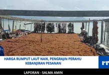 Harga Rumput Laut Naik, Pengrajin Perahu Kebanjiran Pesanan