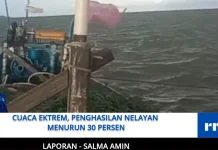 Cuaca Ektrem, Penghasilan Nelayan Menurun 30 Persen