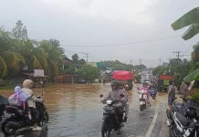 Banjir Rendam Sungai Sembilan, Hulu Rusak Jadi Sorotan